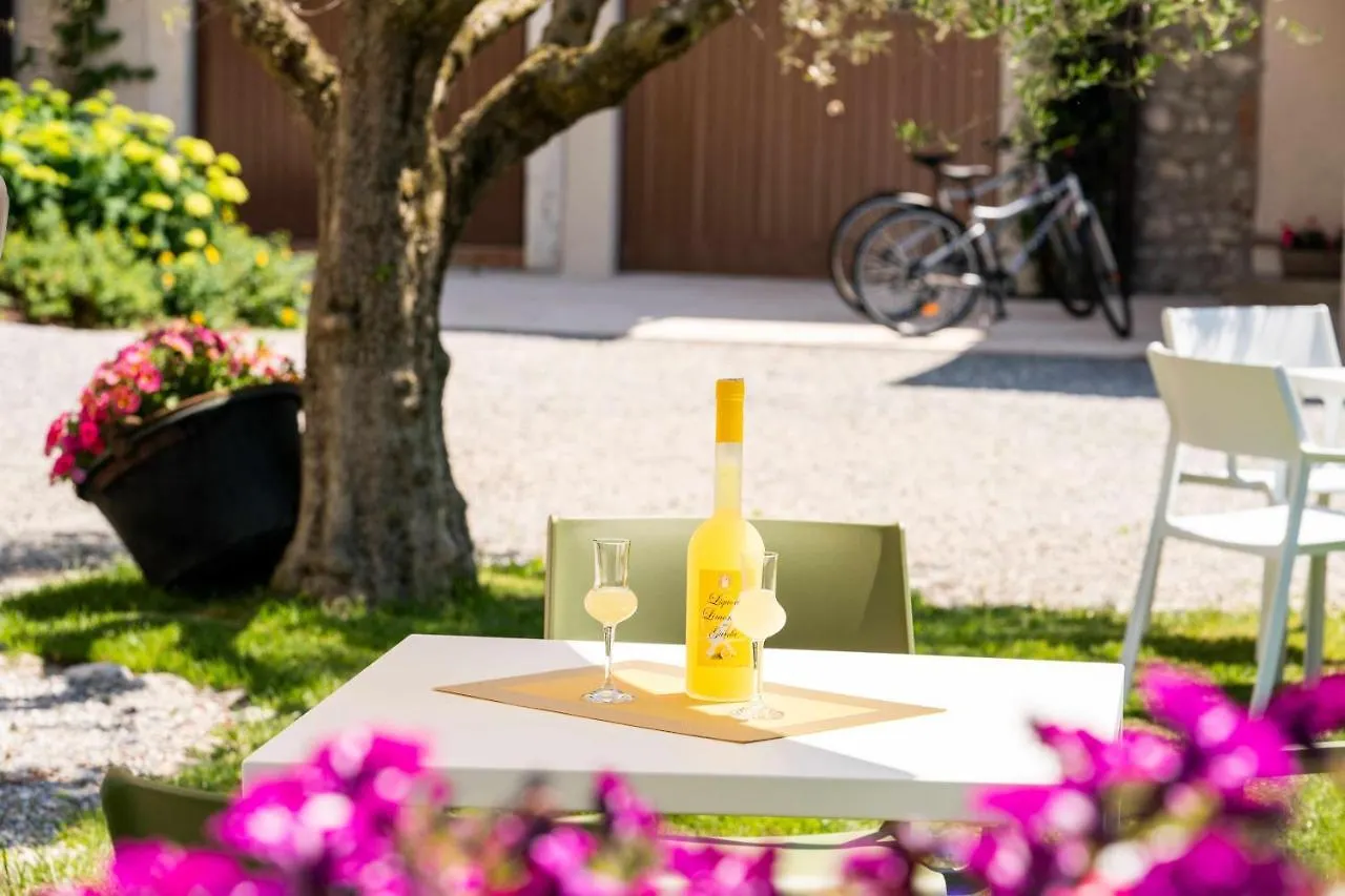 Palazzo Trevignane Appartamento La Saletta Verde San Felice del Benaco Apartman
