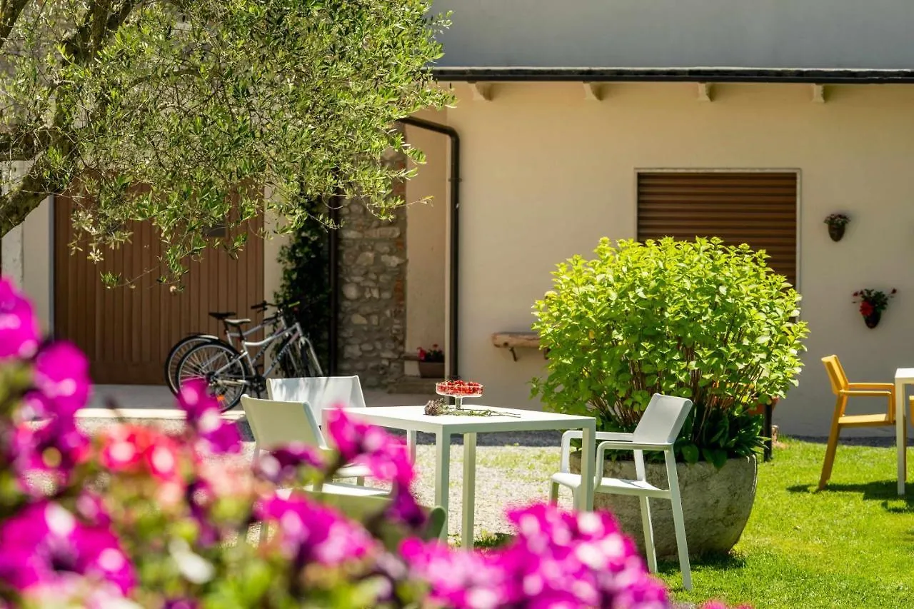Palazzo Trevignane Appartamento La Saletta Verde San Felice del Benaco Apartment